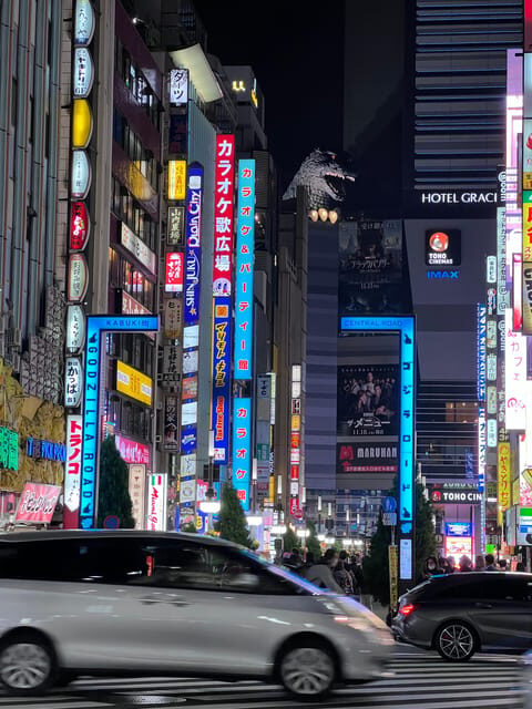 Shinjuku Kabukicho & Golden Gai Night Walking Tour - The Practicalities: What to Expect and Tips