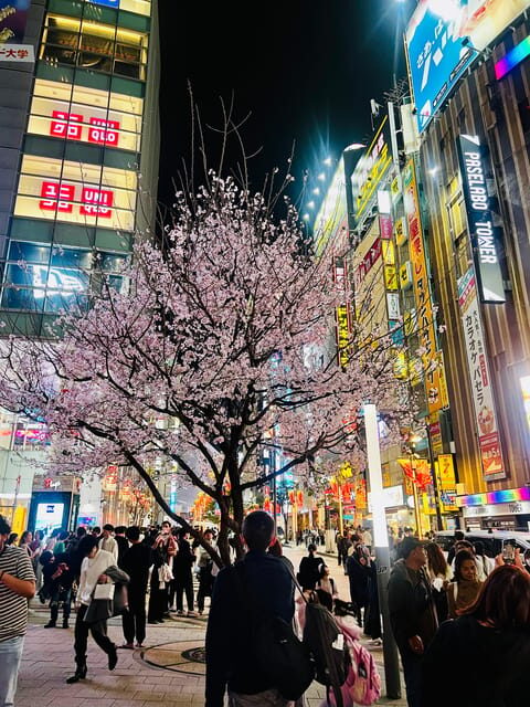 Shinjuku Kabukicho & Golden Gai Night Walking Tour - FAQ