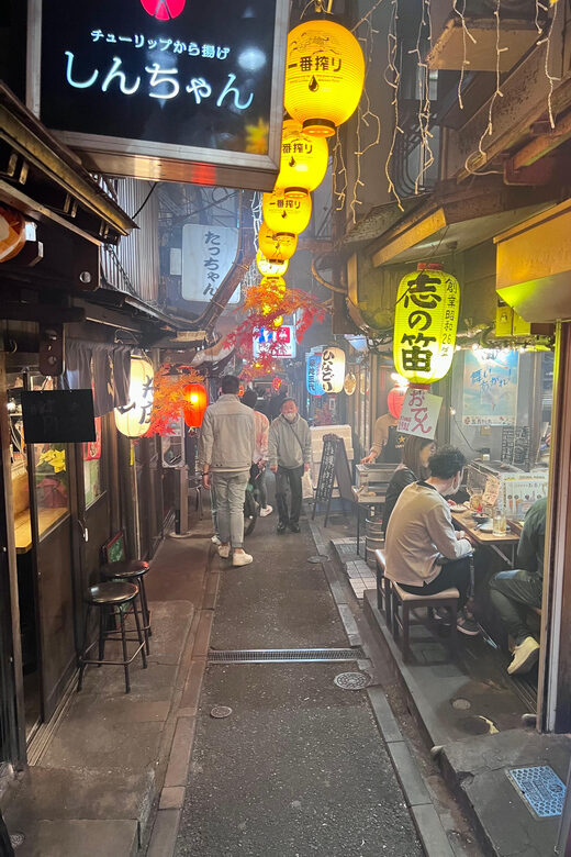Shinjuku Kabukicho & Golden Gai Night Walking Tour - Good To Know