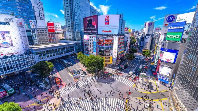 Shinjuku: Tokyo in High Definition - Walking Tour - The Itinerary in Detail