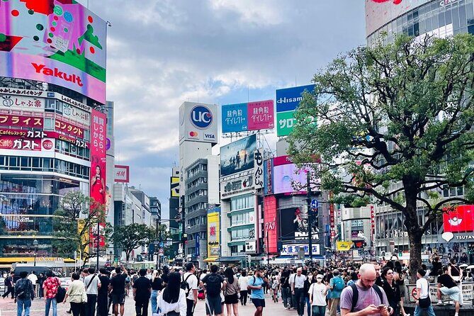 Shinjuku Tokyo Metropolitan observation and Shibuya Walking Tour - Itinerary Breakdown: What to Expect