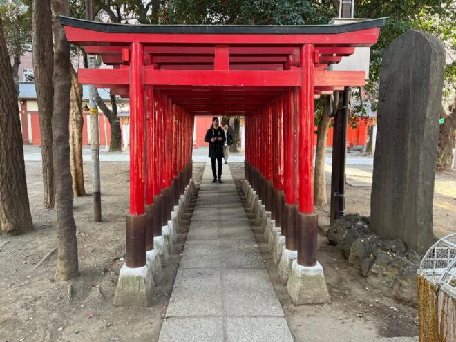 Shinjuku: Walking Tour of Omoide Yokocho, Kabukicho, and … - Visiting Kabukicho