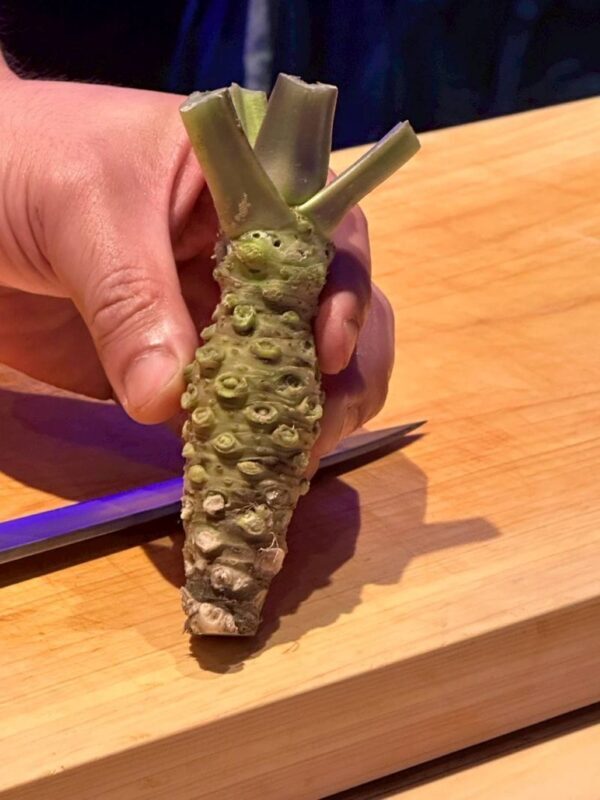 Shinsaibashi: SHIN NIPPON Artisan Sushi Making Course - Should you book it?