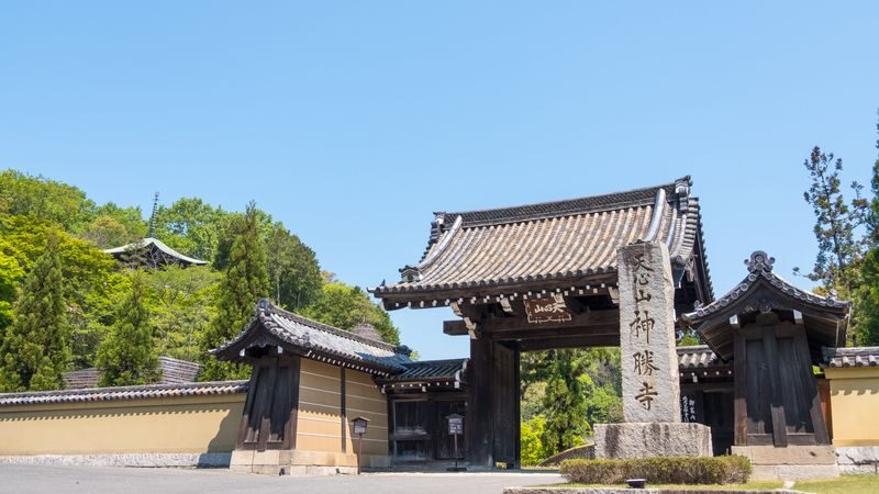 Shinshoji Temple Zen & Garden Museum Admission Ticket - The garden connects buildings from different eras