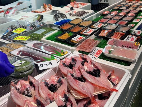 Shiogama: Food Tour, Taste Fresh Tuna and Japanese Sweets - Important Tour Information