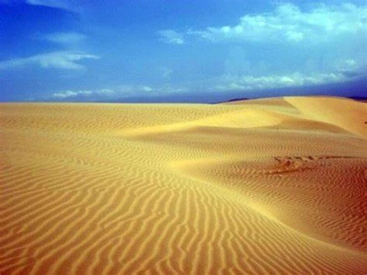 Shipwreck; Viana Desert; Fatima Chapel & Pottery - Tour Details