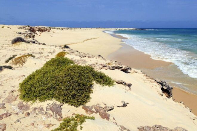 Shipwreck; Viana Desert; Fatima Chapel & Pottery - Frequently Asked Questions