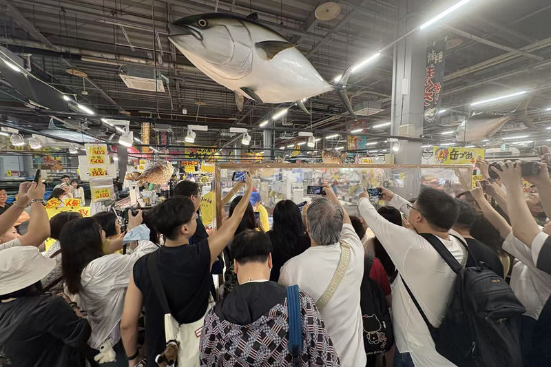 Shirahama Beach & ToreTore Market Full-Day Small Group Tour - Shirarahama Beach: the place to slow down