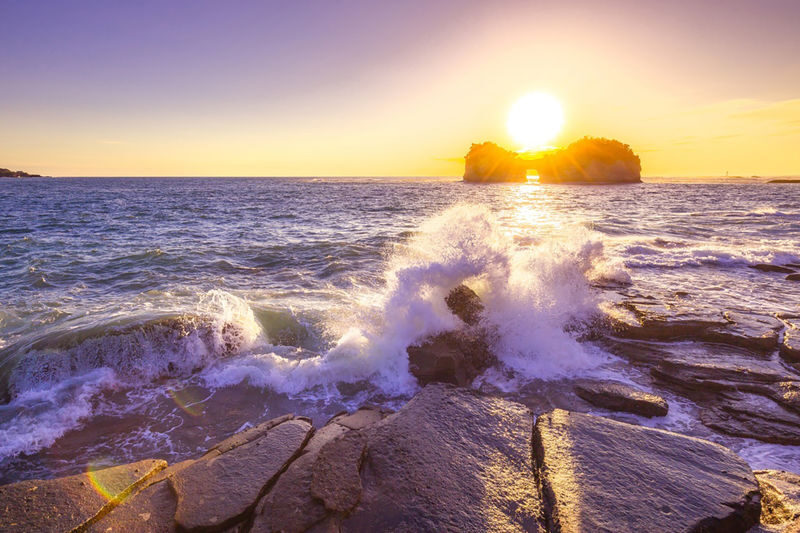 Shirahama Beach & ToreTore Market Full-Day Small Group Tour - Who should book this Shirahama day trip?