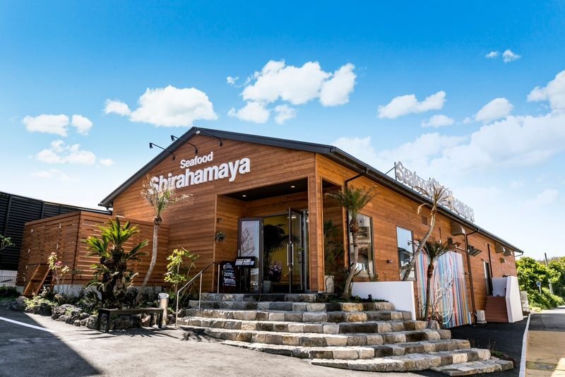 Shiraito Falls & Forest Cafe & Handmade Flower Salt Pudding & Grilled Seafood & Totoro Forest & Sakurai Futamigaura & Angels Wings & Coconut Tree Swing Day Tour (Departing from Hakata Station, with Mandarin, English, and Cantonese speaking guide) - Sakurai Futamigaura and the Coast’s Photo Stops