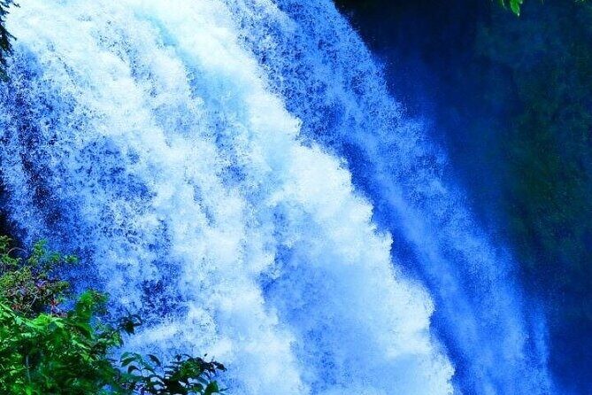 Shiraito Falls, Sengen Taisha, World Heritage Centre Guided Van - Good To Know