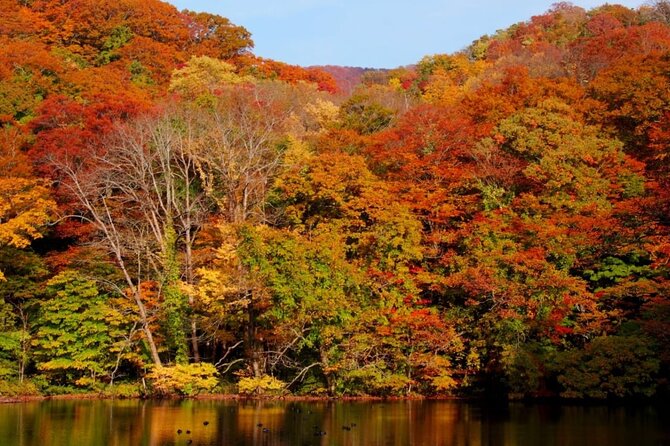 Shirakami-Sanchi: Private Day Hiking Tour  - Aomori Prefecture - Weather Policy