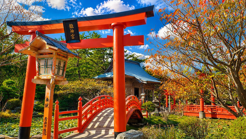 Shirakami Sanchi & Takayama Inari Shrine Full-Day World Heritage Tour - A full day for places that are hard to connect
