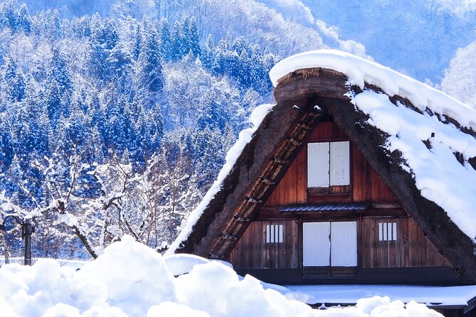 Shirakawa-Go and Hida-Takayama Private Day Trip From Nagoya - Highlights of the Tour