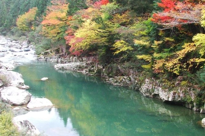 Shirakawa GO and Satoyama Culture - History and Origins