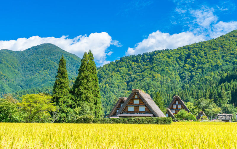Shirakawa-go Day Trip | Optional Direct Access to Observation Deck + Hida Takayama Old Town | Optional Premium Small Group Tour for up to 9 People, Hotel Pickup and Drop-off | Departure from Nagoya - At a glance