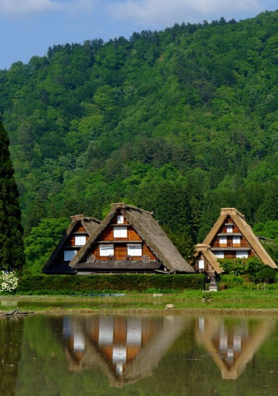 Shirakawa-go Day Trip | Optional Direct Access to Observation Deck + Hida Takayama Old Town | Optional Premium Small Group Tour for up to 9 People, Hotel Pickup and Drop-off | Departure from Nagoya - Practical details that can save you a scramble