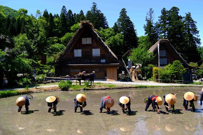 Shirakawa-Go From Nagoya One Day Bus Self-Guided Tour - Meeting and Pickup Points