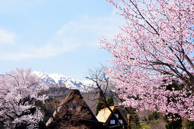 Shirakawa-Go From Nagoya One Day Bus Self-Guided Tour - What to Expect and Additional Info