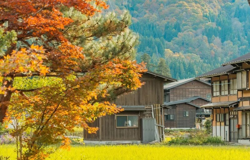 Shirakawa-go Gassho Village & Hida Takayama Day Tour (from Nagoya) - The observatory choice can change the day