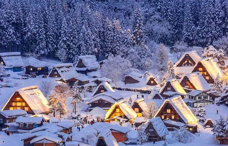 Shirakawa-go Gassho Village & Hida Takayama Day Tour (from Nagoya) - Who will get the most from this day trip