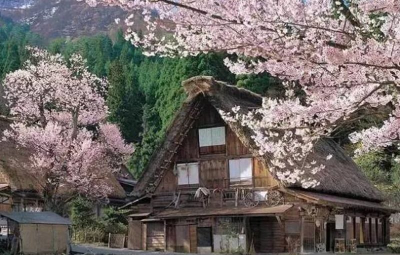 Shirakawa-go Gassho Village & Hida Takayama Day Tour (from Nagoya) - Should you book it?