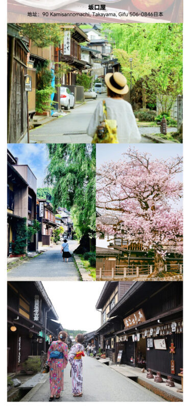 Shirakawa-go Gassho Village & Hida Takayama Day Trip with optional Shirakawa-go Observatory visit (Departure from Nagoya) - Making the short stops count