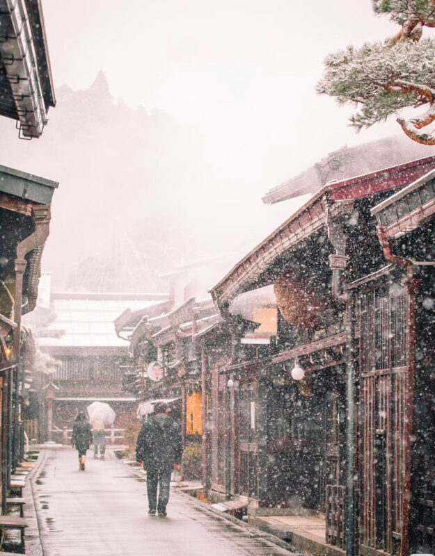 Shirakawa-go Gassho Village & Hida Takayama Old Town Walking Day Tour in Central Japan (Departing from Nagoya) - Who should book this Nagoya day trip?
