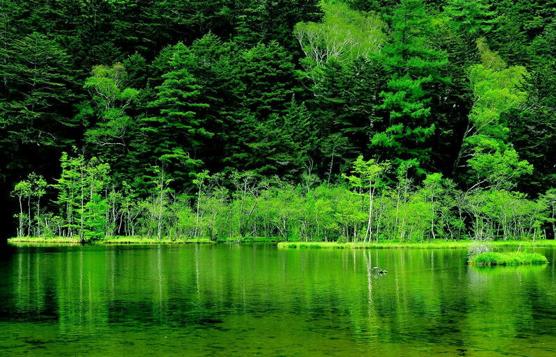 Shirakawa-go Gassho-zukuri Village & Kamikochi & Hida-Takayama 2-Day Tour - Includes Stay at Hotel Associa Takayama Resort (Departing from Nagoya) - What the price covers, and what it does not