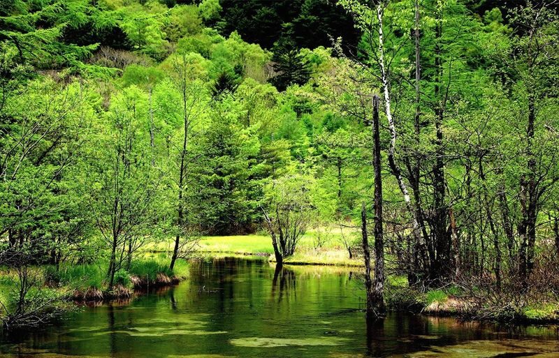 Shirakawa-go Gassho-zukuri Village & Kamikochi & Hida-Takayama 2-Day Tour - Includes Stay at Hotel Associa Takayama Resort (Departing from Nagoya) - Who should book this tour
