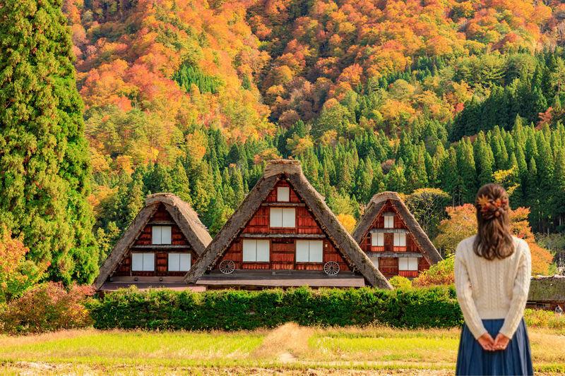 Shirakawa-go, Gujo Hachiman, and Hida Takayama Day Trip - Three towns, one long day from Nagoya