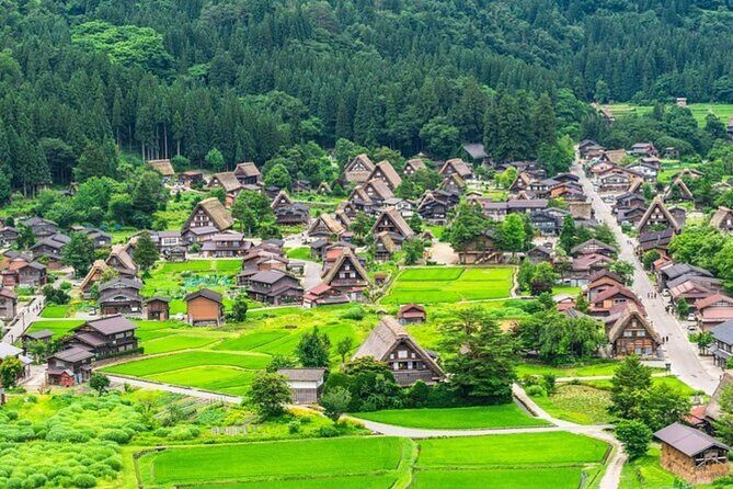 Shirakawa-go, Hida Takayama Day and Old Town Tour from Nagoya - Who Will Love This Tour?