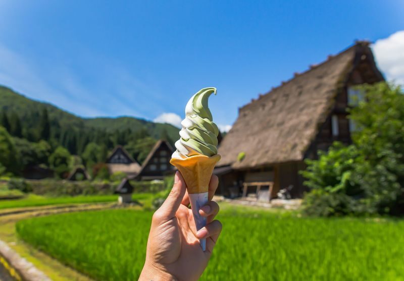 Shirakawa-go, Takayama and Gujo Hachiman Day Tour from Nagoya - Shirakawa-go: 2.5 hours among steep-roofed farmhouses