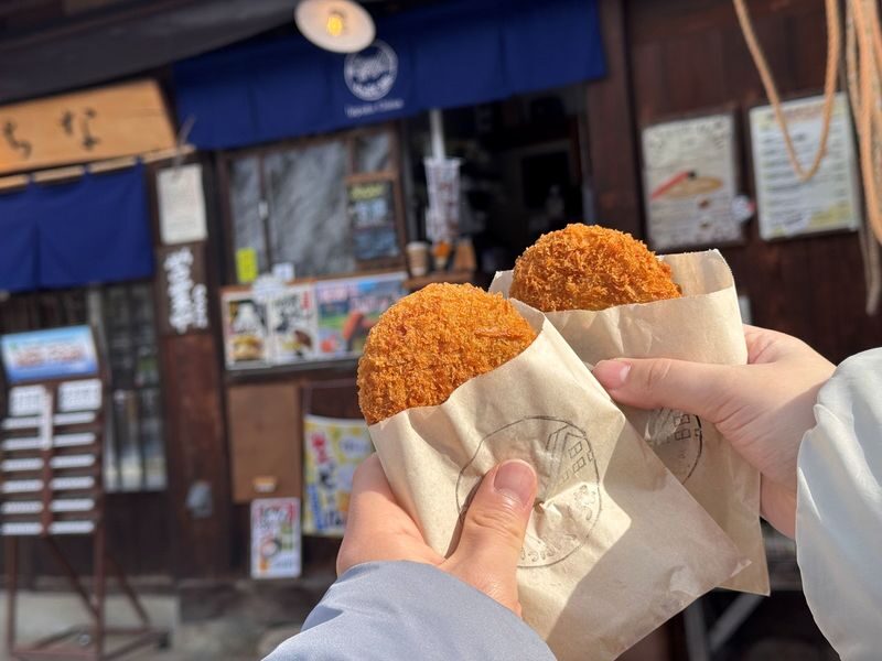 Shirakawa-go, Takayama and Gujo Hachiman Day Tour from Nagoya - Guides, group pace and what the day feels like