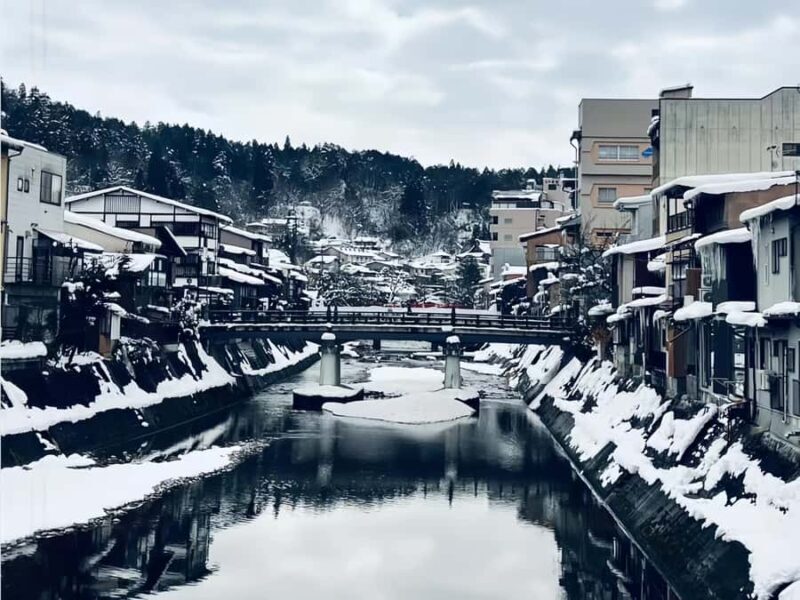 Shirakawa-go & Takayama Day Tour from Nagoya - Who Will Love This Tour?