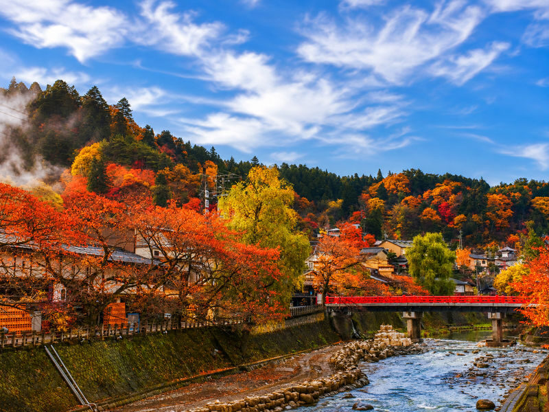 Shirakawa-go & Takayama Old Town Day Tour (Optional Hida Beef Lunch) - What the price buys, and what it doesn’t