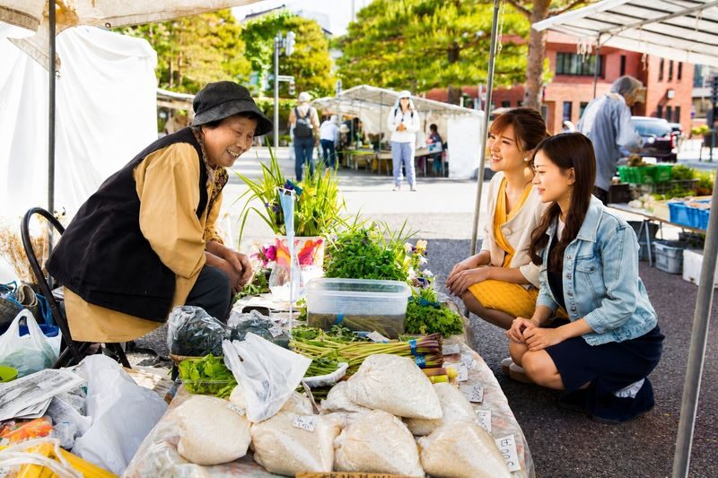 Shirakawa-go & Takayama Old Town Day Tour (Optional Hida Beef Lunch) - Should you book it?