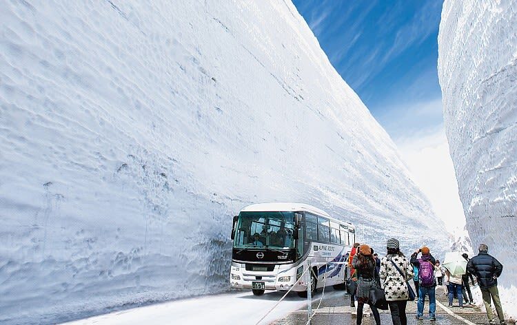 Shirakawa-go & Tateyama Alpine Route 3-Day Bus Tour - Who is likely to appreciate this tour