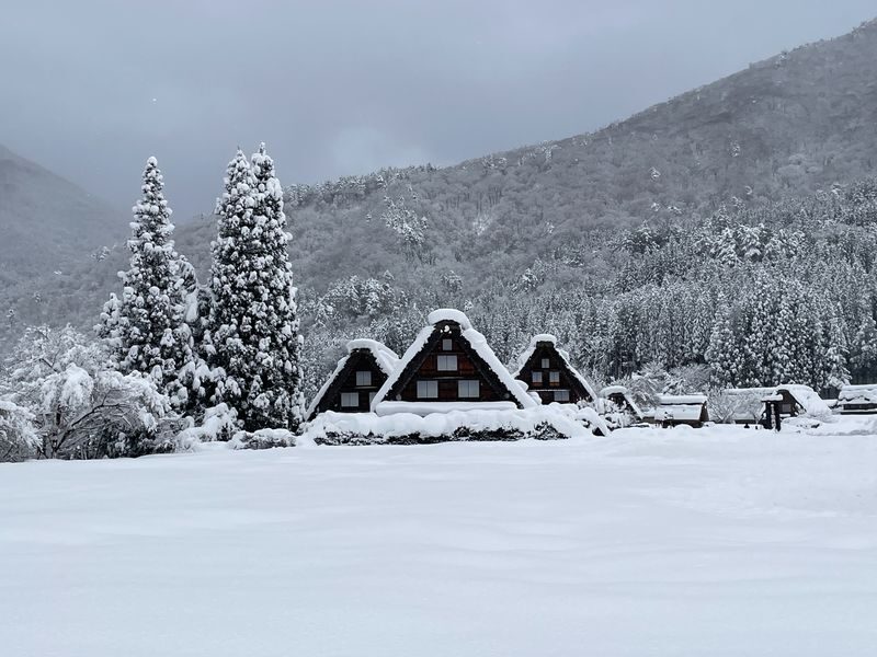 Shirakawa-go UNESCO Village Half-Day Guided Walking Tour - Why a guide helps in Shirakawa-go