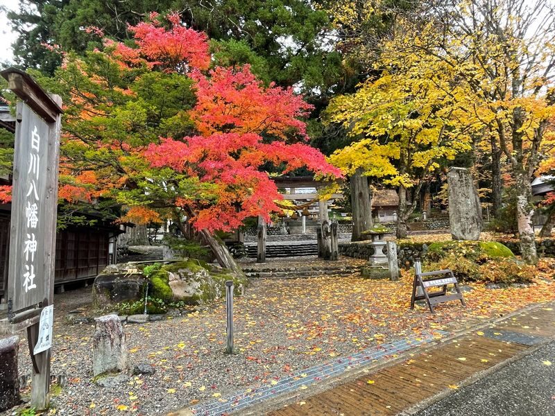 Shirakawa-go UNESCO Village Half-Day Guided Walking Tour - What the two-hour walk is likely to cover