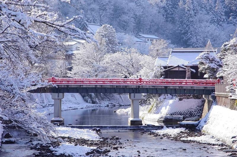 Shirakawa-go Winter Illumination & Hida Takayama Full-Day Tour - Who should book this tour?