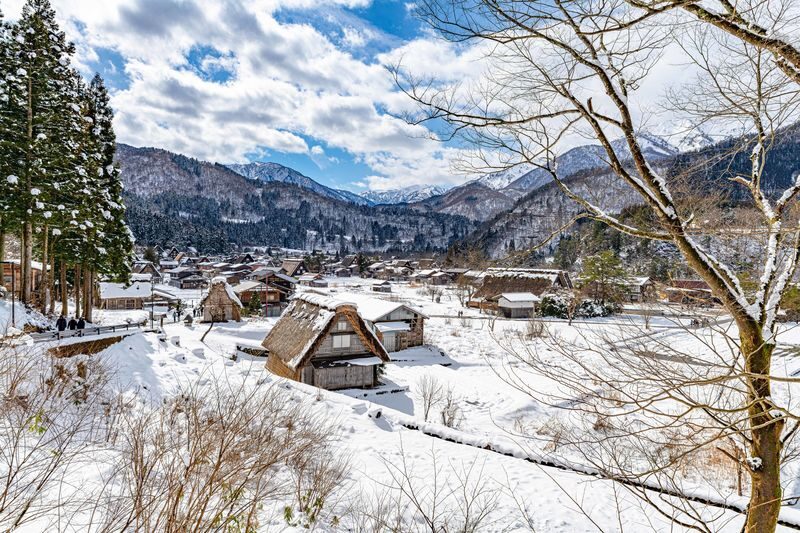 Shirakawago and Kanazawa Day Tour and optional bullet train - Is this Shirakawago day trip a good fit?