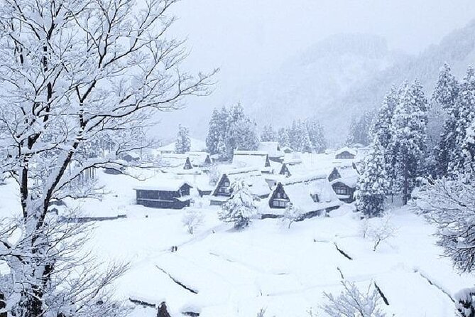 Shirakawago and Takayama 2 Days Tour From Nagoya - Common Questions