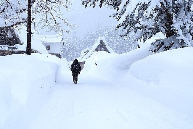 Shirakawago and Takayama 2 Days Tour From Osaka or Kyoto - The Sum Up