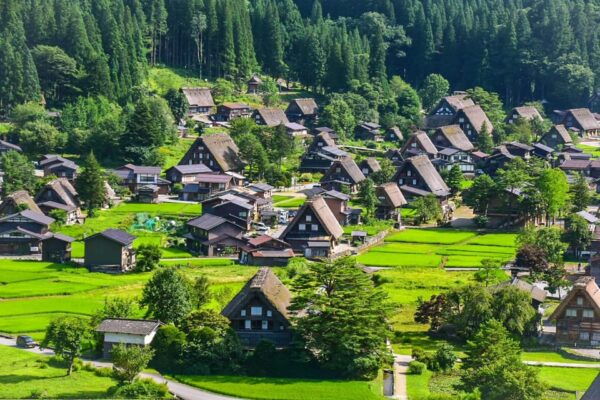 Shirakawago & Gokayama Ainokura Tour-World Heritage Village - Cultural Insights and Activities