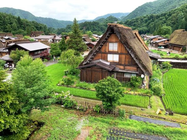 Shirakawago & Gokayama Ainokura Tour-World Heritage Village - Customer Feedback and Ratings
