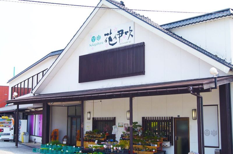 Shirakawago & Hida Winter Illumination 2-Day Bus Tour (from Osaka) - Guides, group travel, and what the price buys