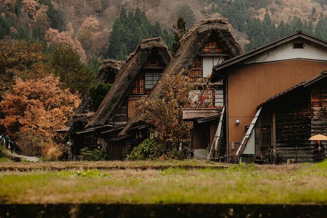 Shirakawago & Kanazawa from Kanazawa - Good To Know