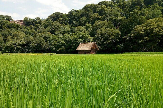 Shirakawago & Kanazawa from Kyoto by bullet train - Final Thoughts: Is This Tour Right for You?