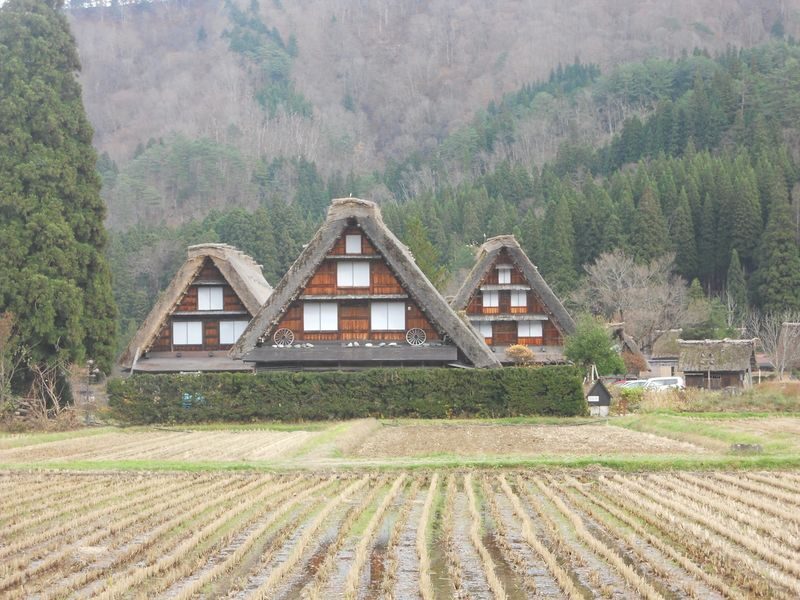 Shirakawago & Takayama Full Day Tour from Kanazawa - A day trip that links village life with old-town streets